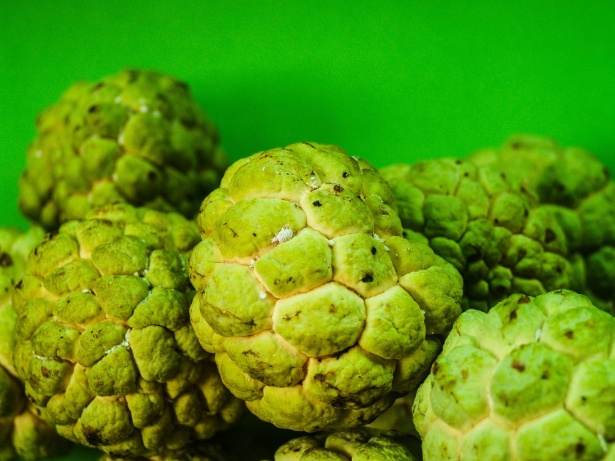 Is It Okay To Eat Custard Apple While Pregnant?